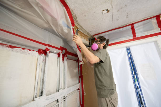 Professional Mold Inspection, Removal & Remediation in Algona, WA